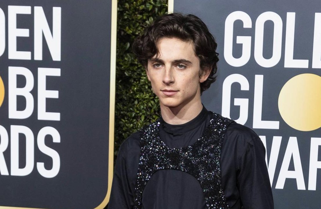 Timothee Chalamet and Armie Hammer to star in Call Me by Your Name