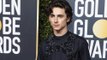 Timothee Chalamet and Armie Hammer to star in Call Me by Your Name