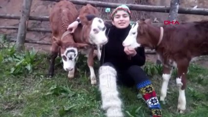 RİZE Hamdu Sena, 'Milli Dayanışma Kampanyası'na 3 buzağı bağışladı