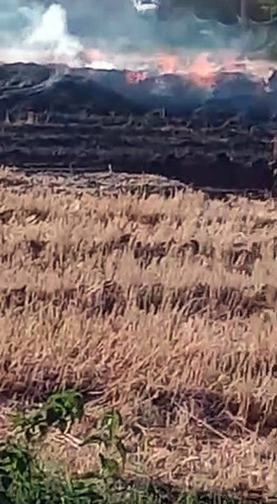 मंदसौर: लापरवाही रोज बनी समस्या, बिजली के तारों...