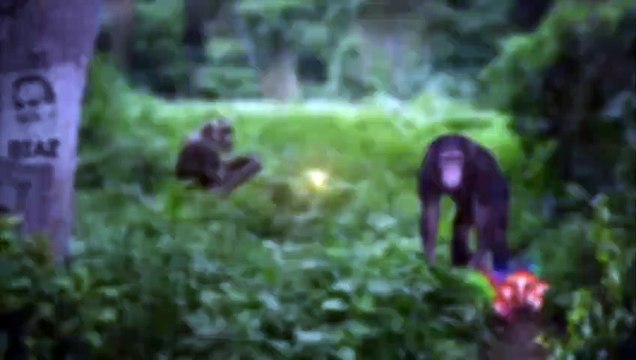 Is the Coronavirus a Bioweapon w Michael Osterholm Joe Rogan