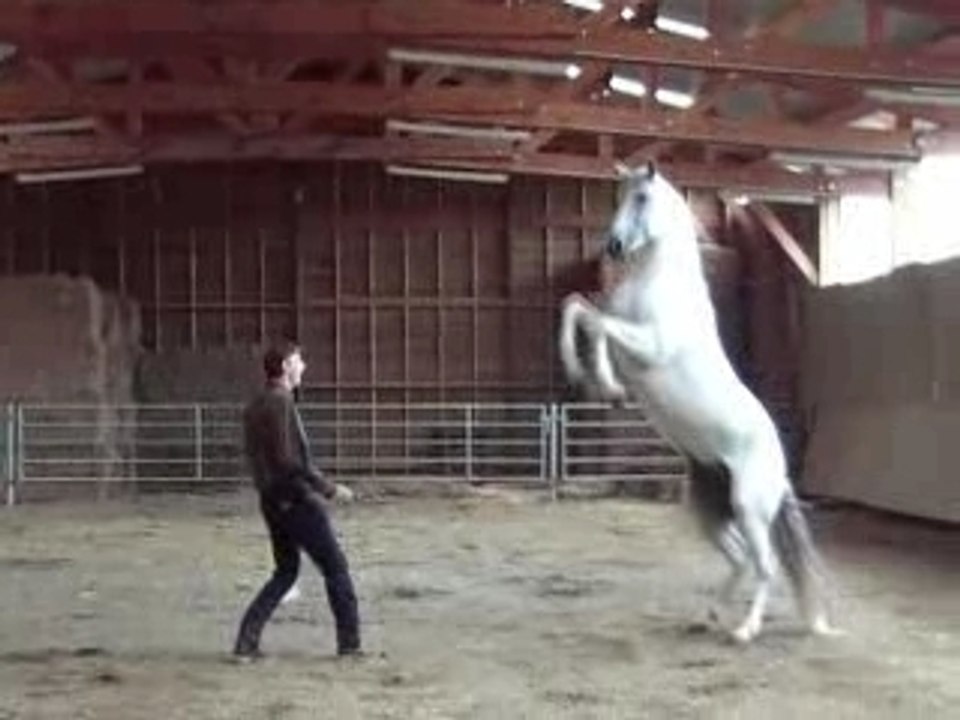 Travail Liberté 08.07 Extrait