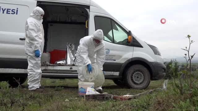 Büyükçekmece'de sokak hayvanları unutulmadı