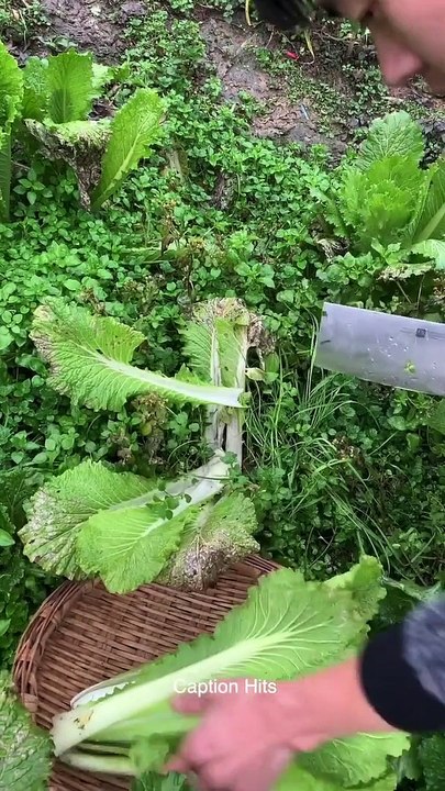 Yummy Good Husband Cooking for His Family Eat Delicious