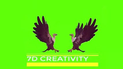 Vulture  exchange  kisses