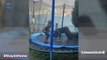 Coronavirus - Choupo en vélo, Icardi sur le trampoline : comment les joueurs du PSG vivent leur confinement...