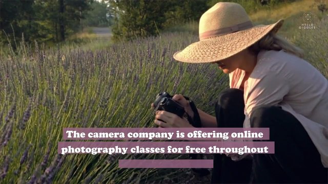 Grab your cameras—Nikon is offering its photography classes for free right now