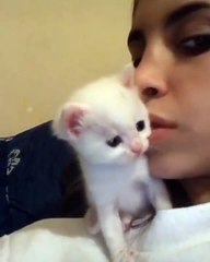 Sahibinin öpücüğünü karşılıksız bırakmayan kedicik