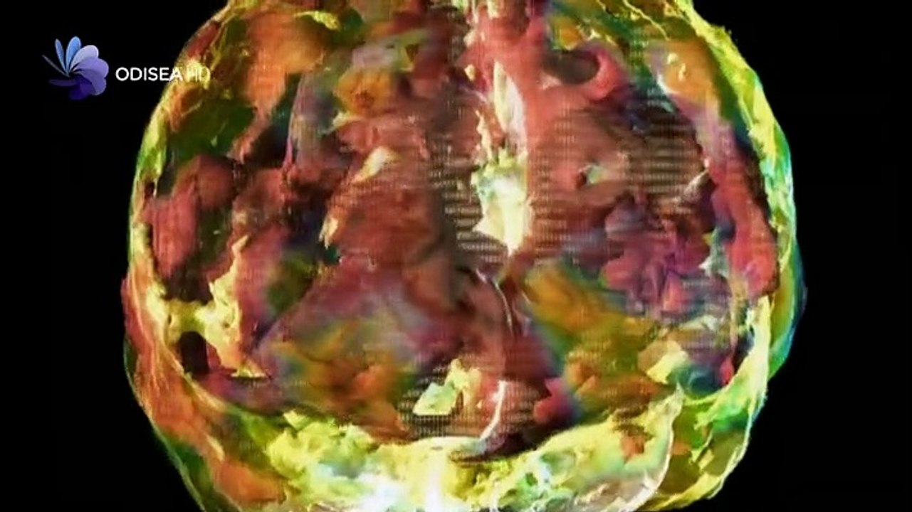 LA HISTORIA DEL LSD - HISTORIA