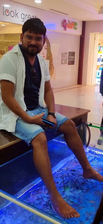 Fish Pedicure