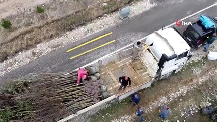 1000 adet fidan Tatlısu Köyünde toprakla buluşturuldu