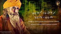 Kaabe Ka Shauq Hai - Sufi Kalam 2020 - Sami Kanwal - Faisal Ashraf Ch - Fsee Production