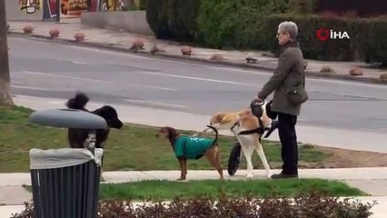 Korona virüs nedeniyle İstanbul’un sahilleri boş kaldı