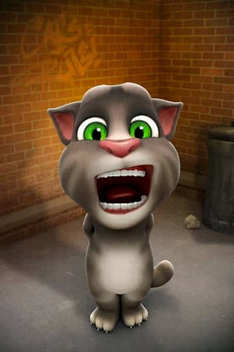 Funny Talking Tom