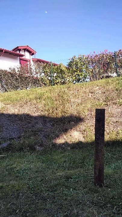 #5 Vidéo Conduite de balle et protection espaces réduits
