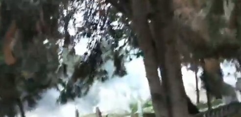 Mezarlıkta bulunanlara biber gazlı müdahale