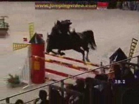 baloubet du rouet/diamant de semilly