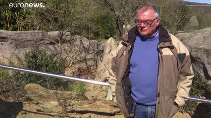 Jardins zoológicos pedem ajuda na Alemanha