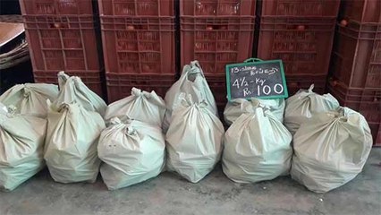 புதுச்சேரியில் 100 ரூபாய் காய்கறி பேக் அறிமுகம்.. ஆர்வத்துடன் வாங்கிச் செல்லும் மக்கள் - வீடியோ