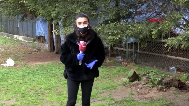 İSTANBUL-KAĞITHANE-Sokak hayvanları anlamlı günde unutulmadı