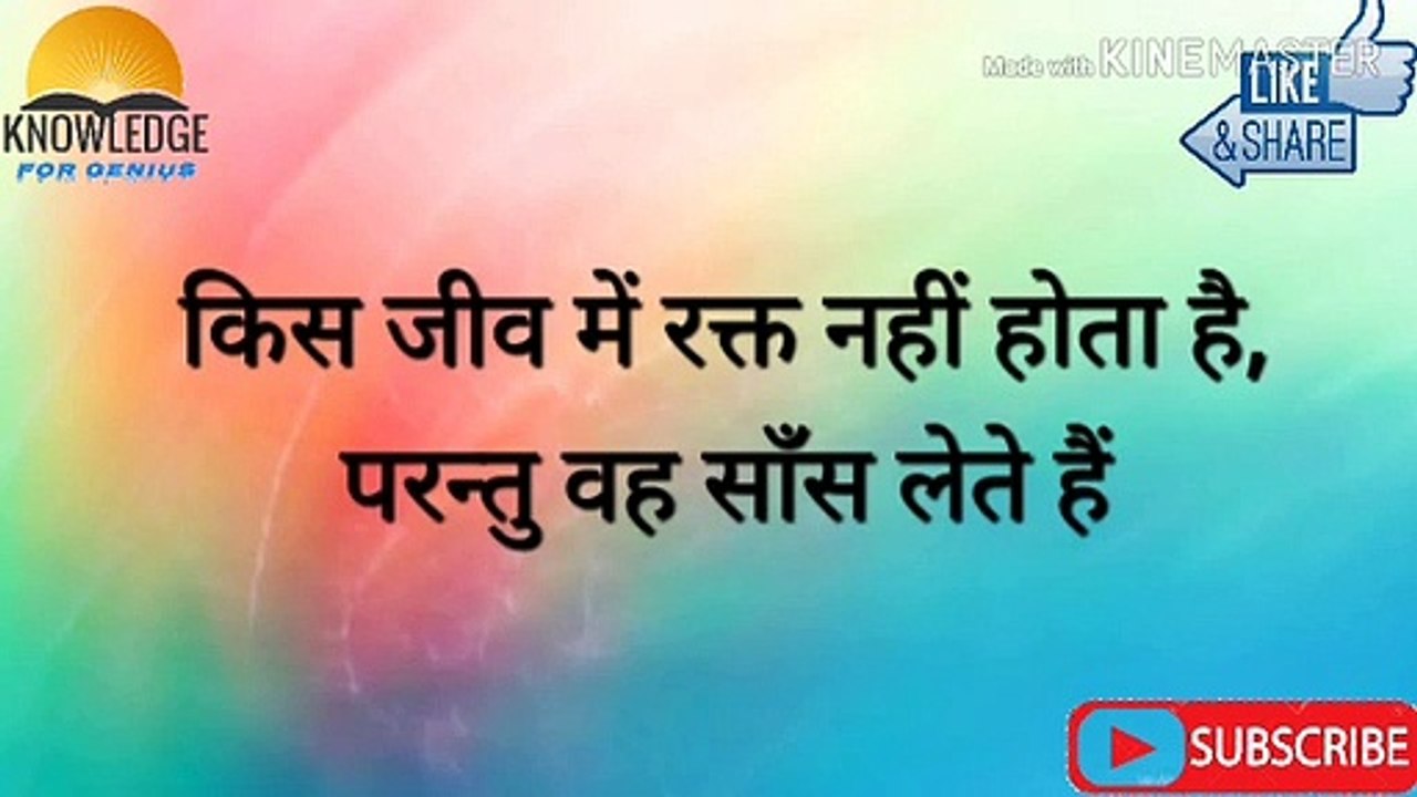 वह कौनसा जीव है जो अपनी पूरी जिंदगी में कभी नहीं सोता -- General Knowledge