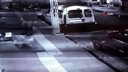 Köpeği kediye saldırttı, kedinin yuvasını tekmeledi... Köpeğe eziyet anları kameradaa