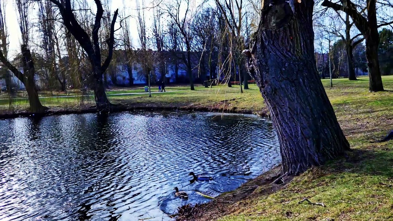 A Day with my Gril - Just a Test