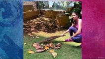 Vicky Kaushal, Katrina Kaif & Shilpa Shetty Cleaning the home during Quarantine