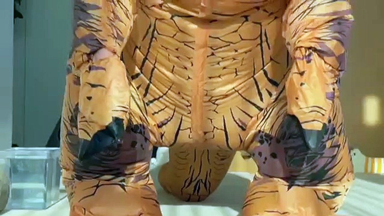 Cats vs Dinosaur (must watch)