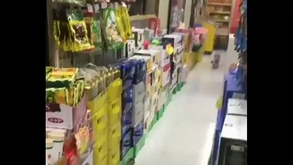 videos virales 2020 graciosos