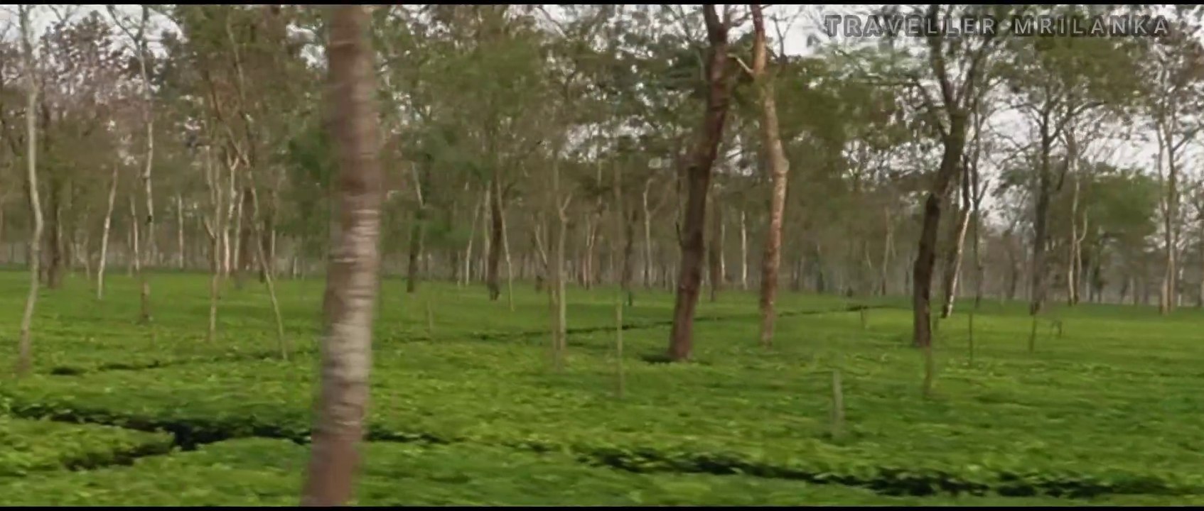 Bike Ride Trip || Jayanti River from Alipurduar || One Day Trip || আলিপুরদুয়ার থেকে জয়ন্তী নদী ||