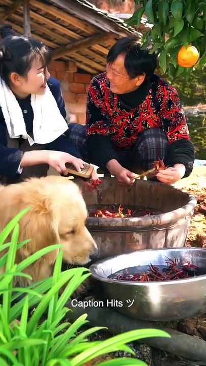 Amazing Cooking and Eating Delicious Food New video 2020