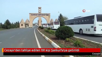 Cezayir'den tahliye edilen 191 kişi Şanlıurfa'ya getirildi