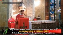 Cardinal Tagle delivers homily for Palm Sunday 2020