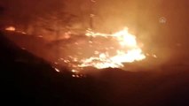 Yangında 5 hektar orman alanı zarar gördü