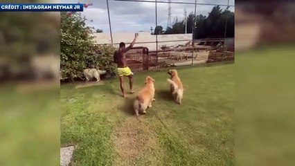 L'entrainement personnalisé de Neymar avec ses chiens