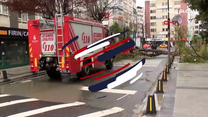 İstanbul için dün 'turuncu' alarm verilmişti! Ağaç devrildi, şiddetli rüzgar var