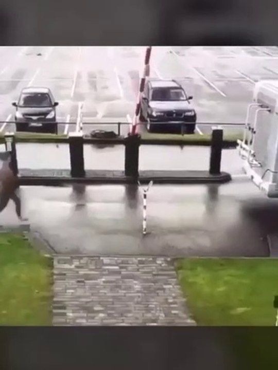 New Funny videos People doing Stupid things Funny moments