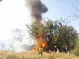fire in farms after high tension wire  short circuit