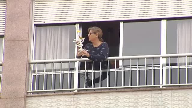 Los vecinos de Elche sacan sus palmas caseras a los balcones