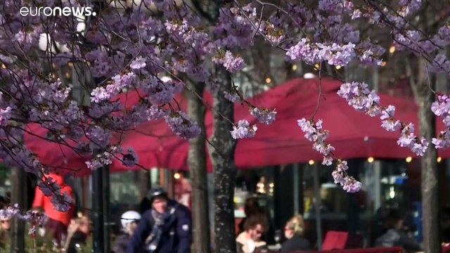 Sterberate in Schweden steigt - Löfven warnt vor tausenden Toten