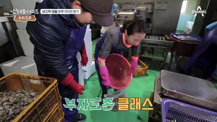 바지락 매출 하루 300만 원?! 어촌 마을 억대 매출의 비법은?
