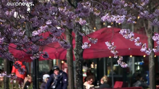 Особый путь Швеции: не запрещать, а рекомендовать