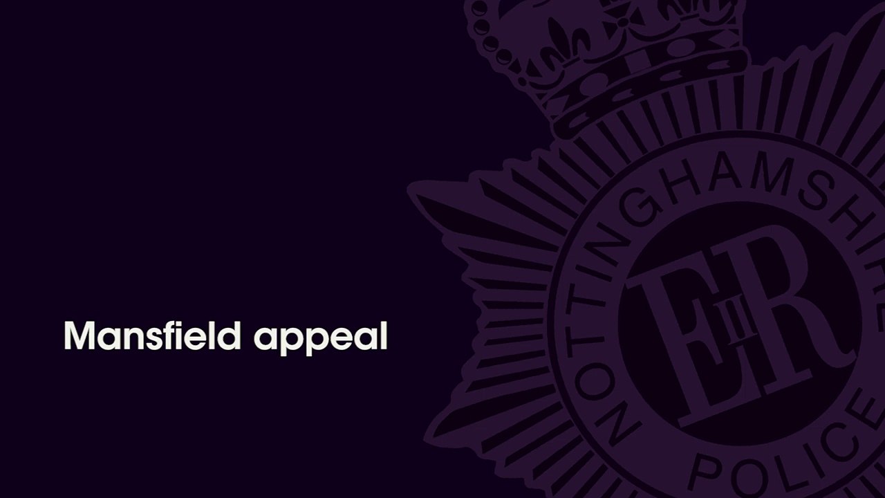 Mansfield attempt robbery appeal