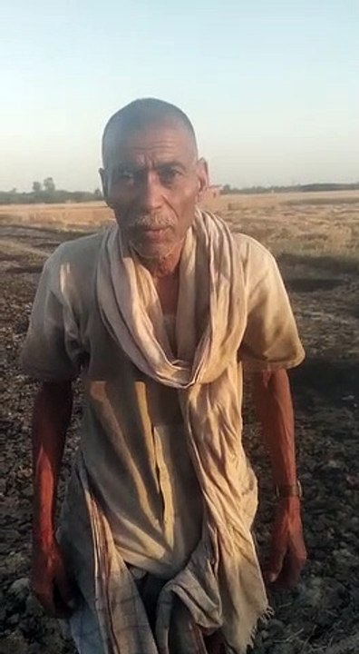 प्रयागराज: अचानक लगी आग से कई बीघे गेहूं की फसल जलकर हुई राख