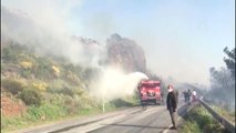 Gazipaşa'da orman yangını
