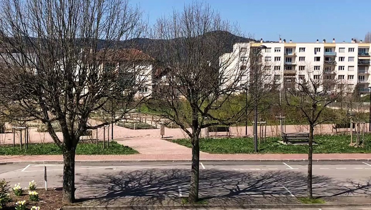 Dans Saint-Dié-des-Vosges sans voiture, les oiseaux se font entendre