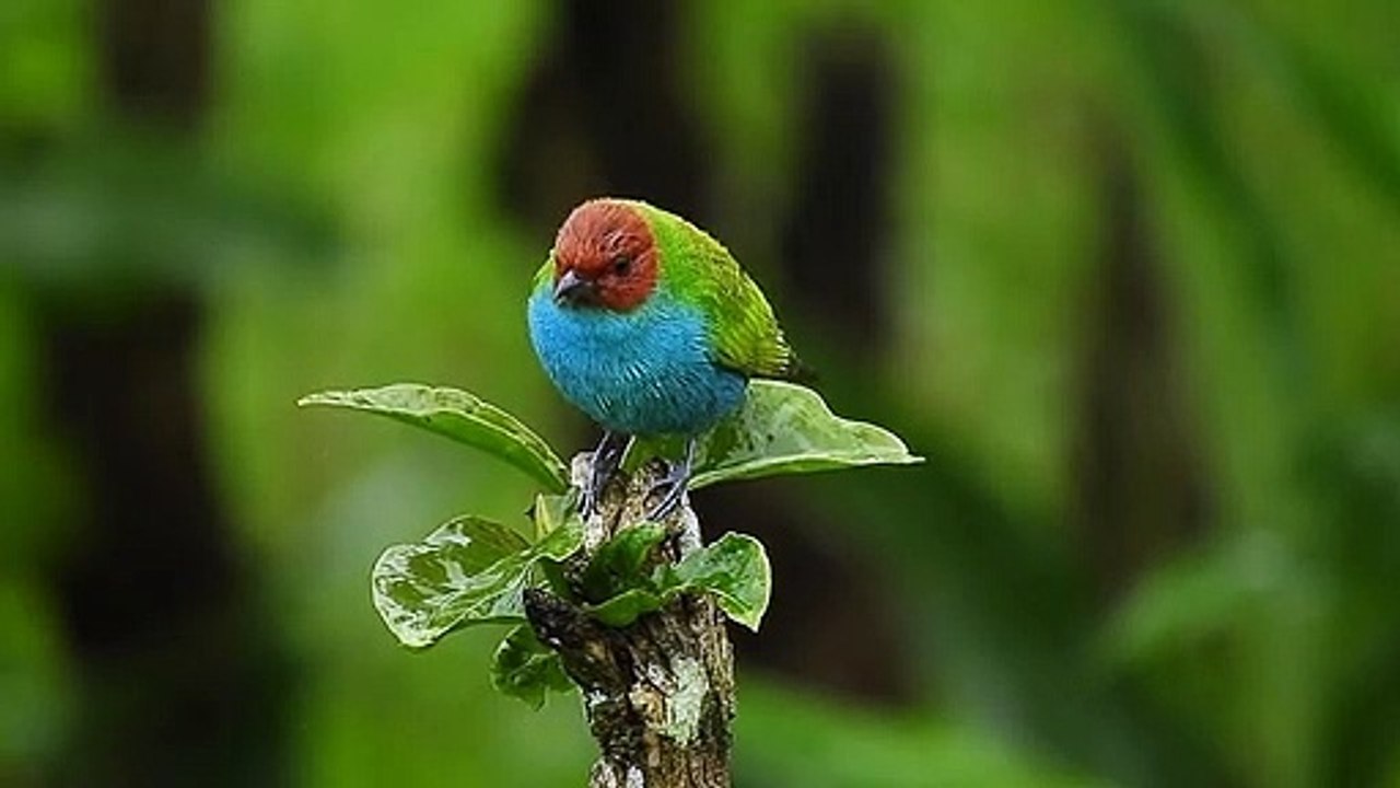NATURE
