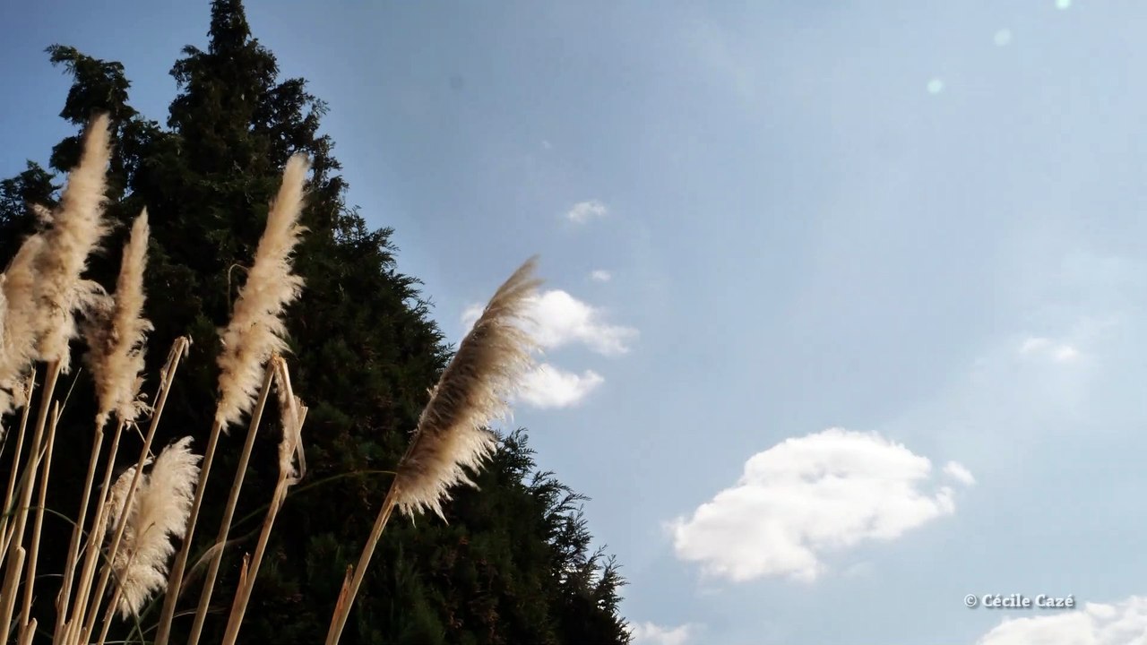 timelapse avril 2020_1