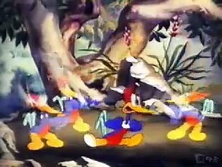 Woody Woodpecker  1 – Woody Woodpecker